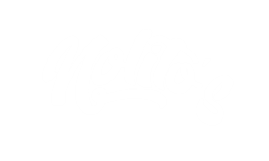 Logonolitos
